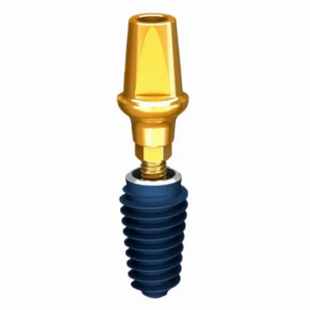 Megagen implantat